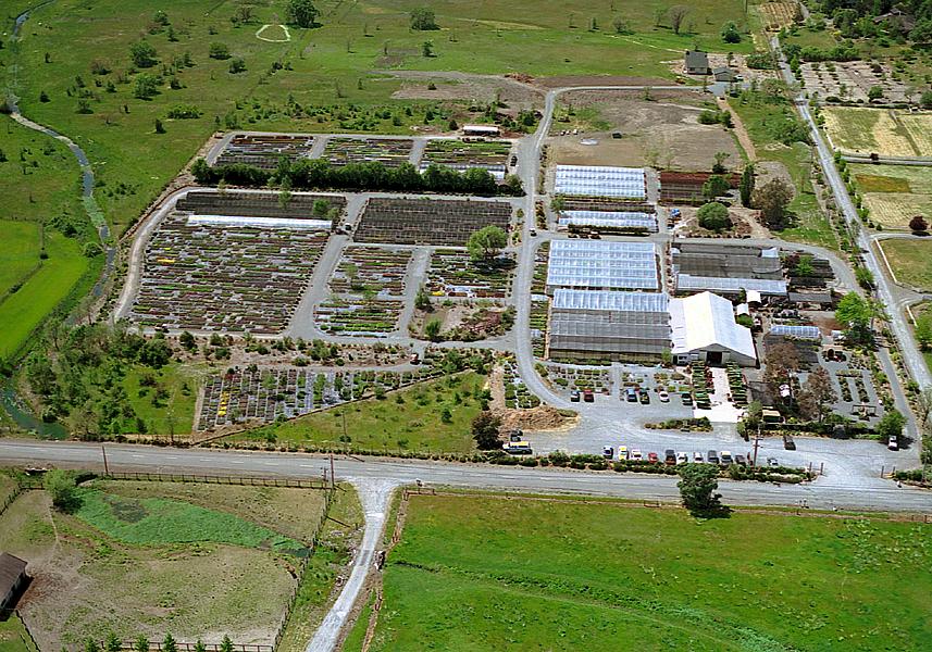 emerisa gardens wholesale nursery