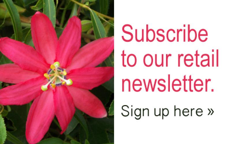 Subscribe to emerisa gardens